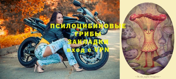 гидра Армянск