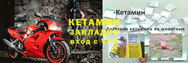 винт Аркадак